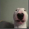 Avatar of Whitty228