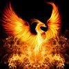 Avatar of PhoenixisFire