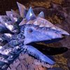 Avatar of RiftDragon