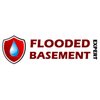 Avatar of Flooded Basement