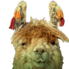 Avatar of mamaLLama