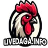 Avatar of livedaga info
