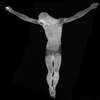 Avatar of lignefroide36