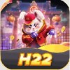 Avatar of h22orguk