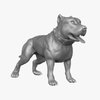 Avatar of barkcoin