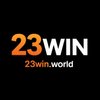 Avatar of 23winworld