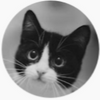 Avatar of Милый котик