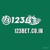 Avatar of 123betcoin