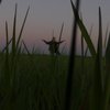 Avatar of j_L_h