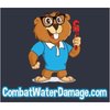 Avatar of CombatWaterDamage