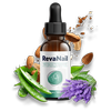 Avatar of revanailtry