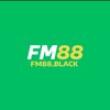 Avatar of Fm88