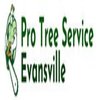 Avatar of Pro Tree Service Evansville