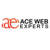Avatar of Ace Web Institute
