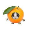Avatar of kisnasu