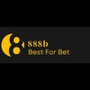 Avatar of 8888bsite