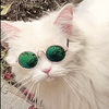 Avatar of trickster-shot