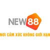 Avatar of NEW88