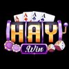 Avatar of haywinitcom