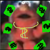 Avatar of groshxav000
