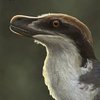 Avatar of Trex1930