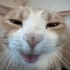 Avatar of iowashedcrackhead