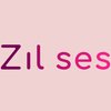 Avatar of zilses