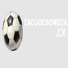 Avatar of Cá Cược Bóng Đá