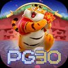 Avatar of pg30 vip – plataforma de jogos premium com