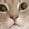 Avatar of wesjohnson3d