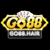 Avatar of Go88 Hair