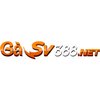Avatar of gasv388net