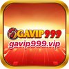 Avatar of gavip999vip