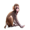 Avatar of walter12