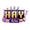 Avatar of HAYWIN