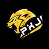 Avatar of pxjthailandorg