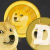 Avatar of Dogecoin Millionaire