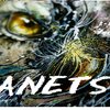 Avatar of anets