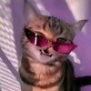 Avatar of Fytj5yd4dthdrth