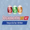 Avatar of Soi Cầu Bạch Thủ 247