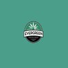 Avatar of Evergreen OC