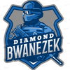 Avatar of Bwanezek
