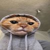 Avatar of ig351822
