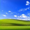 Avatar of Windows xp