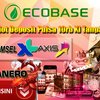 Avatar of ecobase21