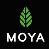 Avatar of moyamatcha