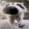 Avatar of _Stormy_
