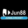Avatar of jun88