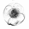 Avatar of MengzhiHe