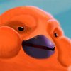 Avatar of Common_otter86